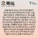 콩깍지 이미지