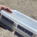 영진농장2 이미지