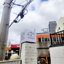 금송하우스 | 부산여행 1박2일 📍맛집, 웨이팅, 카페, 소품샵