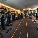 피트니스 동의보감 이미지