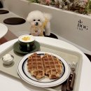 멍스데이 이미지