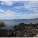 방울풍뎅이 이미지