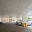 스무살에머물다아산