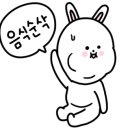 가은미트 이미지