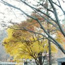 강촌_구곡폭포관광지/춘천_소양강댐/춘천닭갈비/이송금할머니의 춘천중앙닭갈비