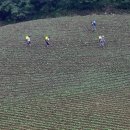 안반데기 목장 이미지