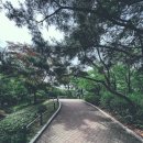 남산골 한옥마을 4