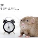 추억카페 이미지