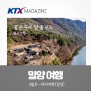 입암면 작은도서관 | 꽃 보듯이 날 좀 보소 밀양 여행