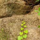 무수막교 이미지