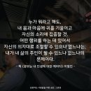 네 운명을 사랑하라_아모르파티 이미지