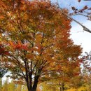 더브라운계명대점 이미지