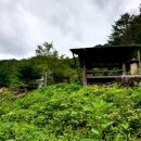 지오지