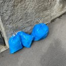 맥도날드 우장산점 개방화장실 | [스위스&amp;밀라노 여행 후기 #13] 베른 구시가지, 곰공원, 장미공원, 그리고 마르질리 수영장