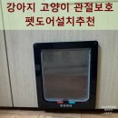 바나개 강아지 고양이 마포점 | 강아지 고양이 관절보호 펫도어설치추천
