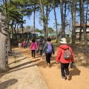 숲길발길 이미지