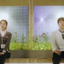 다현상사 이미지