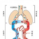 더찬스짐 역동점 이미지