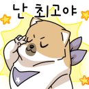 셈셈(sem sem) 이미지