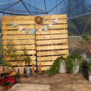 삼삼오오농장 이미지