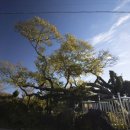 동광리-13 이미지