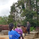 호진목장 이미지