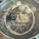 옹심이 칼국수 언양점 | 언양 맛집 옹심이메밀칼국수 작천정 맛집 추천