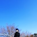 김제지평선홀스랜드 이미지