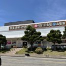 삼척해상케이블카 장호역 용화역 맛집 장호용화관광랜드식당 메뉴 가격 내돈내산 왜 맛있어..?