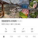 양산 원동 청청 미나리축제 메뉴 금액 천막삽겹살 먹고온 꿀팁 - 비추 후기