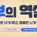 머니테라피 이미지