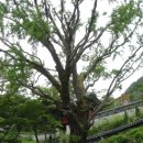 보문사약수터 이미지