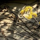 청주떡방앗간 이미지