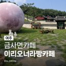 여주블루베리협동조합 | 여주대형카페 이리오너라빵카페 내돈내산 솔직후기 애견동반 대형한옥카페 포토존