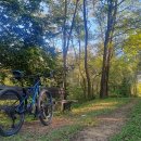 죽변운동장 이미지