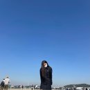그레이(Grey) 이미지