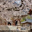 (테마투어)산사투어 이미지