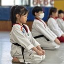 에이스태권도 이미지