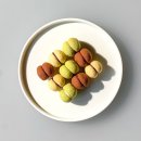 오페크 이미지