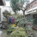 회원동234 이미지