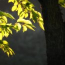 에스플러스팜 이미지