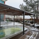 토종흙돼지 이미지