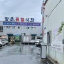 방촌시장 이미지