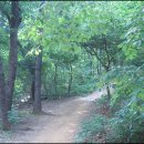 우면산6-2 이미지