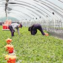 늘찬농장 이미지