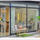 레플레르 이미지