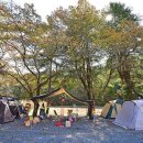 도토리캠프 이미지