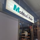 호매실미용실 모모아헤어 히피펌 혜랑실장님 후기