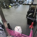 피지컬라운지 | 다산동PT 추천 피지컬라운지 헬스PT 다산점에서 비포애프터 확실히 관리했어요.