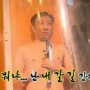 이바이브 이미지